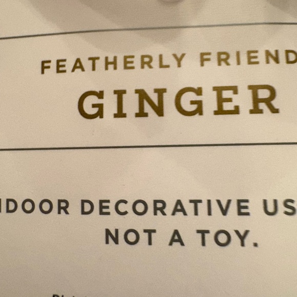 Hyde and Eek Christmas Bird 2023 - Picture 4 of 4